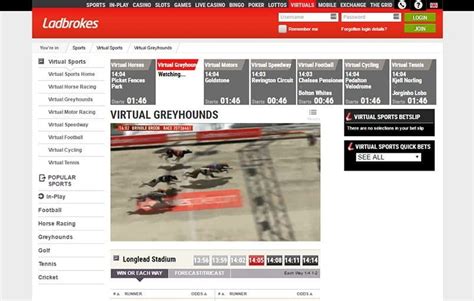 greyhound betting sites|Full List of the Best Greyhound Betting Sites For 2024.